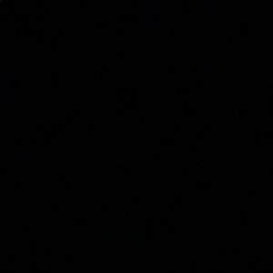 Meet your Posher, Bob